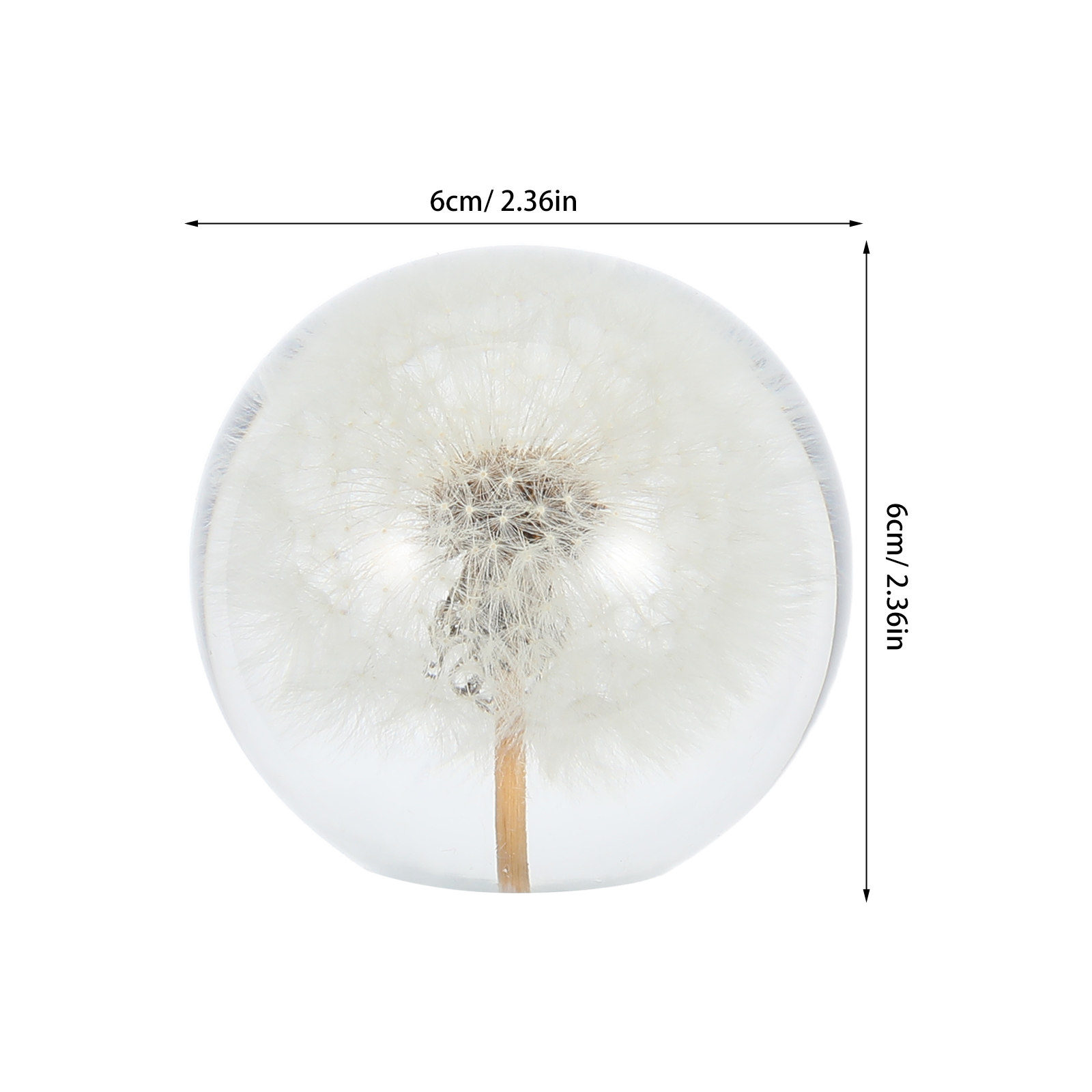 Dandelion Crystal Ball Glass S - đánh giá và giá Paper Weight Crystal