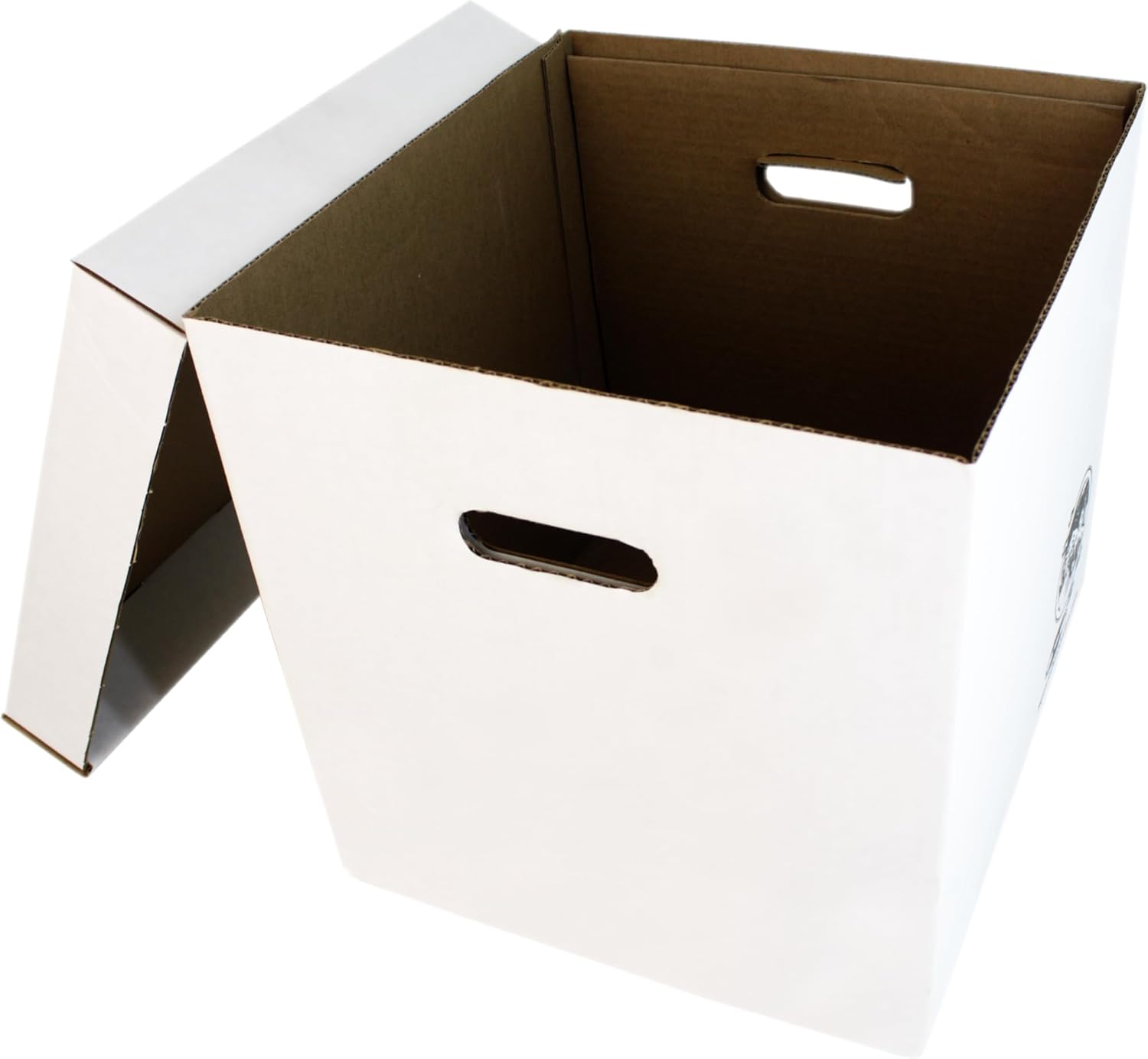 Set of 5 Heavy-Duty 12-Inch Vi - đánh giá và giá Archive Box Set