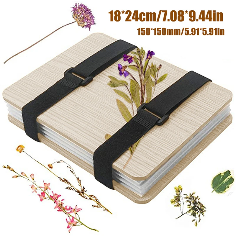 1 Set Plant Specimen Tool Kit  - đánh giá và giá Ink Blotter Paper